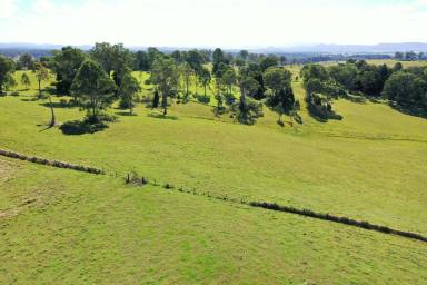 Livestock For Sale - NSW - Casino - 2470 - 102 ACRES PRICED TO SELL  (Image 2)