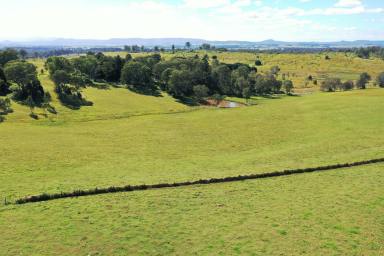 Livestock For Sale - NSW - Casino - 2470 - UNDER OFFER  (Image 2)