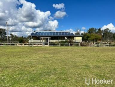 Lifestyle For Sale - NSW - Gilgai - 2360 - Modern and Renovated Lifestyle Homestead  (Image 2)