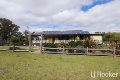 Lifestyle For Sale - NSW - Gilgai - 2360 - Modern and Renovated Lifestyle Homestead  (Image 2)