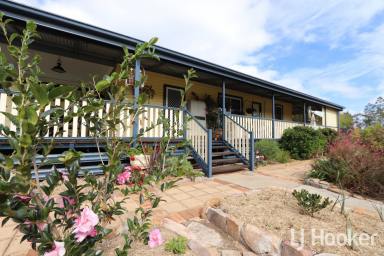 Lifestyle For Sale - NSW - Gilgai - 2360 - Modern and Renovated Lifestyle Homestead  (Image 2)