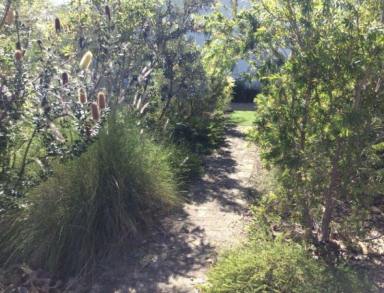 House For Sale - QLD - Picnic Bay - 4819 - Freehold Residence on Magnetic Island  (Image 2)