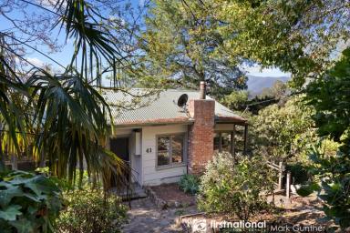 House Sold - VIC - Healesville - 3777 - Renovators Delight with Breathtaking Mountain Views  (Image 2)
