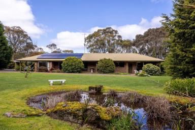 House For Sale - VIC - Mount Helen - 3350 - Rare Lifestyle Acreage In Fantastic Location  (Image 2)