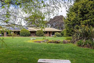 House For Sale - VIC - Mount Helen - 3350 - Rare Lifestyle Acreage In Fantastic Location  (Image 2)
