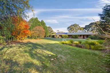 House For Sale - VIC - Mount Helen - 3350 - Rare Lifestyle Acreage In Fantastic Location  (Image 2)