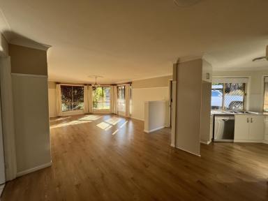 Unit For Lease - QLD - Rangeville - 4350 - 2 Bedroom Unit in a fantasic location!!  (Image 2)