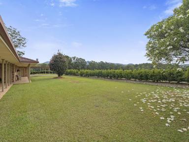 House For Sale - NSW - Bonville - 2450 - The Absolute Perfect Family Home  (Image 2)