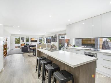 House For Lease - TAS - Devonport - 7310 - Modern Lifestyle Family Home  (Image 2)