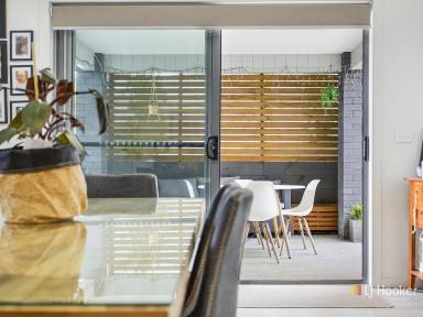 House For Lease - TAS - Devonport - 7310 - Modern Lifestyle Family Home  (Image 2)