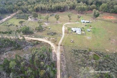 Lifestyle For Sale - NSW - Inverell - 2360 - FOREST VIEW - COUNTRY RETREAT  (Image 2)