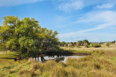 Residential Block For Sale - NSW - Taralga - 2580 - Exceptional 4.6-Acre Opportunity in the Heart of Taralga  (Image 2)