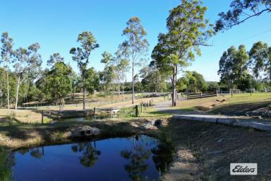 Residential Block For Sale - QLD - North Deep Creek - 4570 - New Home Package - 1 acre, 3 brm home ensuite, double garage.  (Image 2)