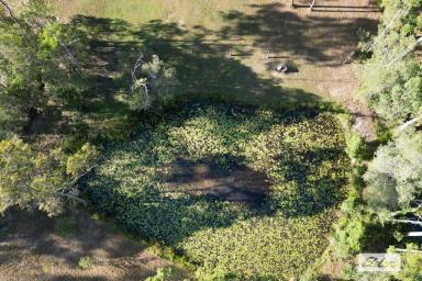 Residential Block For Sale - QLD - North Deep Creek - 4570 - New Home Package - 1.4 acres, 4 brm home ensuite, double garage.  (Image 2)
