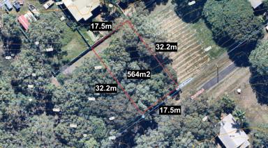 Residential Block For Sale - QLD - Lamb Island - 4184 - Elevated and Peaceful – 564m² Block on Lamb Island  (Image 2)