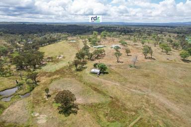 Mixed Farming For Sale - NSW - Inverell - 2360 - GLEN ALPIN  (Image 2)