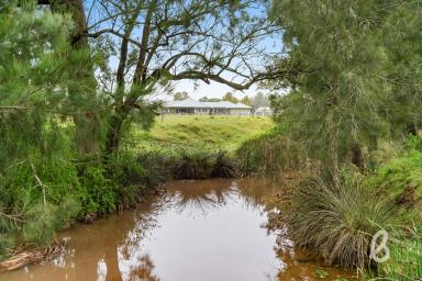 Lifestyle For Sale - NSW - Singleton - 2330 - Expansive Masterbuilt Home | Double Creek Frontage  (Image 2)