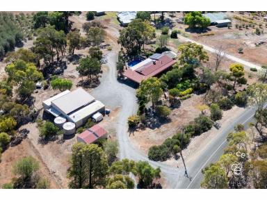 Acreage/Semi-rural For Sale - SA - One Tree Hill - 5114 - A ready-made lifestyle or adapt to suit your chosen interest  (Image 2)