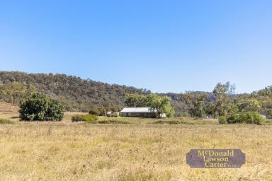 Mixed Farming For Sale - NSW - Barigan - 2850 - "Talga" – Prime Grazing Country with Water Security & Scenic Views  (Image 2)