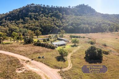 Mixed Farming For Sale - NSW - Barigan - 2850 - "Talga" – Prime Grazing Country with Water Security & Scenic Views  (Image 2)