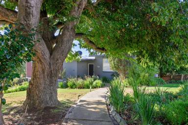 House For Sale - TAS - Park Grove - 7320 - A Home with Heart: Privacy, Space, and Style  (Image 2)