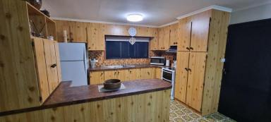 House For Sale - QLD - Ingham - 4850 - LOWSET BLOCK HOME WITH SHEDS - BUILT UP OUT OF KNOWN FLOOD (INCLUDING 2025)!  (Image 2)