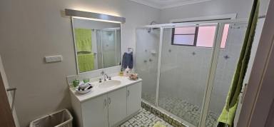 House For Sale - QLD - Ingham - 4850 - LOWSET BLOCK HOME WITH SHEDS - BUILT UP OUT OF KNOWN FLOOD (INCLUDING 2025)!  (Image 2)
