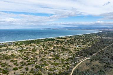 Residential Block For Sale - TAS - Dolphin Sands - 7190 - 11.4 Acres of Coastal Potential - Views, Privacy & Position  (Image 2)