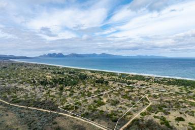 Residential Block For Sale - TAS - Dolphin Sands - 7190 - Views, Privacy & Position  (Image 2)