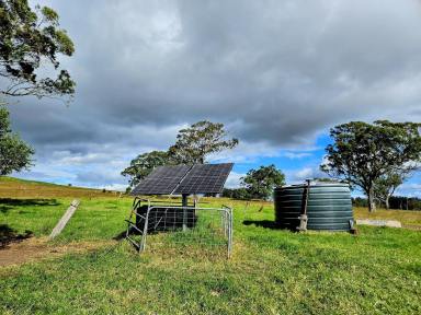 Livestock For Sale - QLD - Plainby - 4355 - 45.50 acres of Quality scrub country, 360-degree views, bore, 3-phase power, and a large shed  (Image 2)