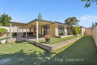 House For Sale - WA - Ridgewood - 6030 - Its a Winner on Whitsunday!  (Image 2)
