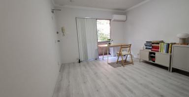 Unit For Lease - NSW - Meadowbank - 2114 - Two Balconies, Air-conditioned 1-Bedroom with Private Settings!  (Image 2)