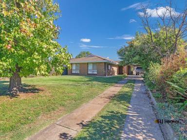House For Sale - VIC - Echuca - 3564 - Charming 3-Bedroom Classic with Big Backyard, Workshop & Family Warmth.  (Image 2)