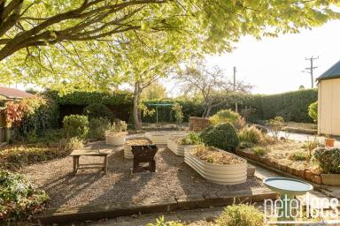 House For Sale - TAS - Longford - 7301 - A Masterpiece of Heritage – A Truly Beautiful Home  (Image 2)