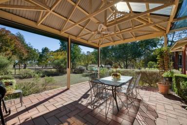 House For Sale - VIC - Huntly - 3551 - Flexible Family Living on a Generous Block  (Image 2)