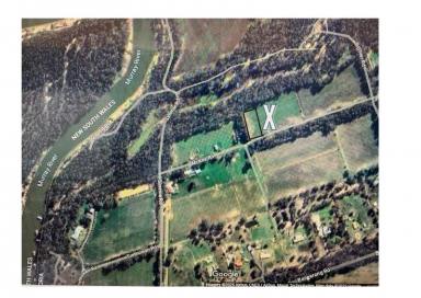 Residential Block For Sale - VIC - Echuca Village - 3564 - 2 ACRES- WALKING TO MURRAY RIVER-TERMS AVAILABLE (Image 2)