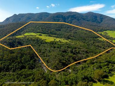 Lifestyle For Sale - NSW - Burragate - 2550 - GENUINE RURAL GETAWAY  (Image 2)