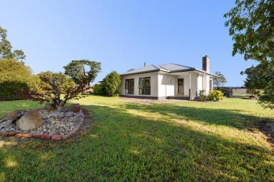 Other (Rural) For Sale - VIC - Hillside - 3875 - Lifestyle Farmlet with Space, Views & Comfort  (Image 2)