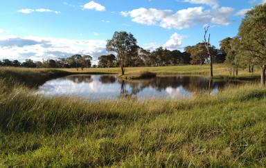 House Leased - NSW - Red Range - 2370 - Charming Rural Retreat!  (Image 2)