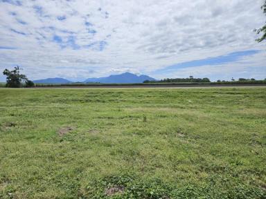 Residential Block For Sale - QLD - Halifax - 4850 - RIVERDOWNS ESTATE - Buy in this larger block estate !  (Image 2)
