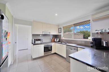 House For Lease - QLD - Kepnock - 4670 - Charming 3 Bedroom Brick Home in a Great Neighbourhood  (Image 2)