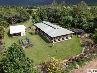 House For Sale - QLD - Carruchan - 4816 - Once in a lifetime handcrafted timber home in the beautiful Kennedy Valley  (Image 2)