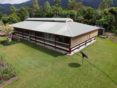 House For Sale - QLD - Carruchan - 4816 - Once in a lifetime handcrafted timber home in the beautiful Kennedy Valley  (Image 2)