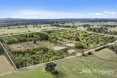 Horticulture For Sale - VIC - Ripplebrook - 3818 - Unique "Tree" Farm  (Image 2)