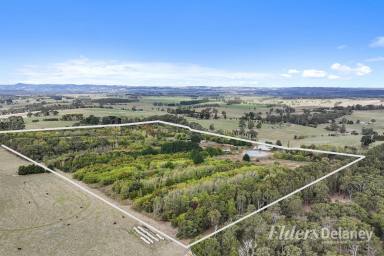 Horticulture For Sale - VIC - Ripplebrook - 3818 - Unique "Tree" Farm  (Image 2)