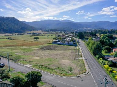 Residential Block For Sale - TAS - Lawitta - 7140 - Beautiful Flat Blocks of Land  (Image 2)