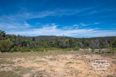 Lifestyle For Sale - NSW - Torrington - 2371 - Your Ideal Rural Retreat  (Image 2)