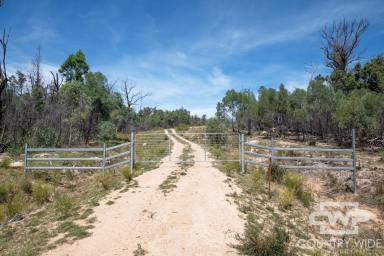 Lifestyle For Sale - NSW - Torrington - 2371 - Your Ideal Rural Retreat  (Image 2)