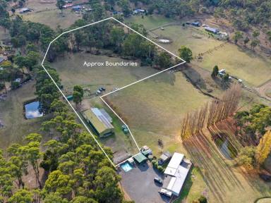 House For Sale - TAS - Lachlan - 7140 - Expansive Family Home  (Image 2)