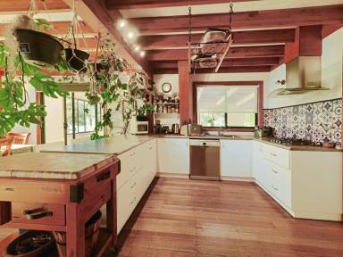 House For Sale - TAS - Lachlan - 7140 - Expansive Family Home  (Image 2)